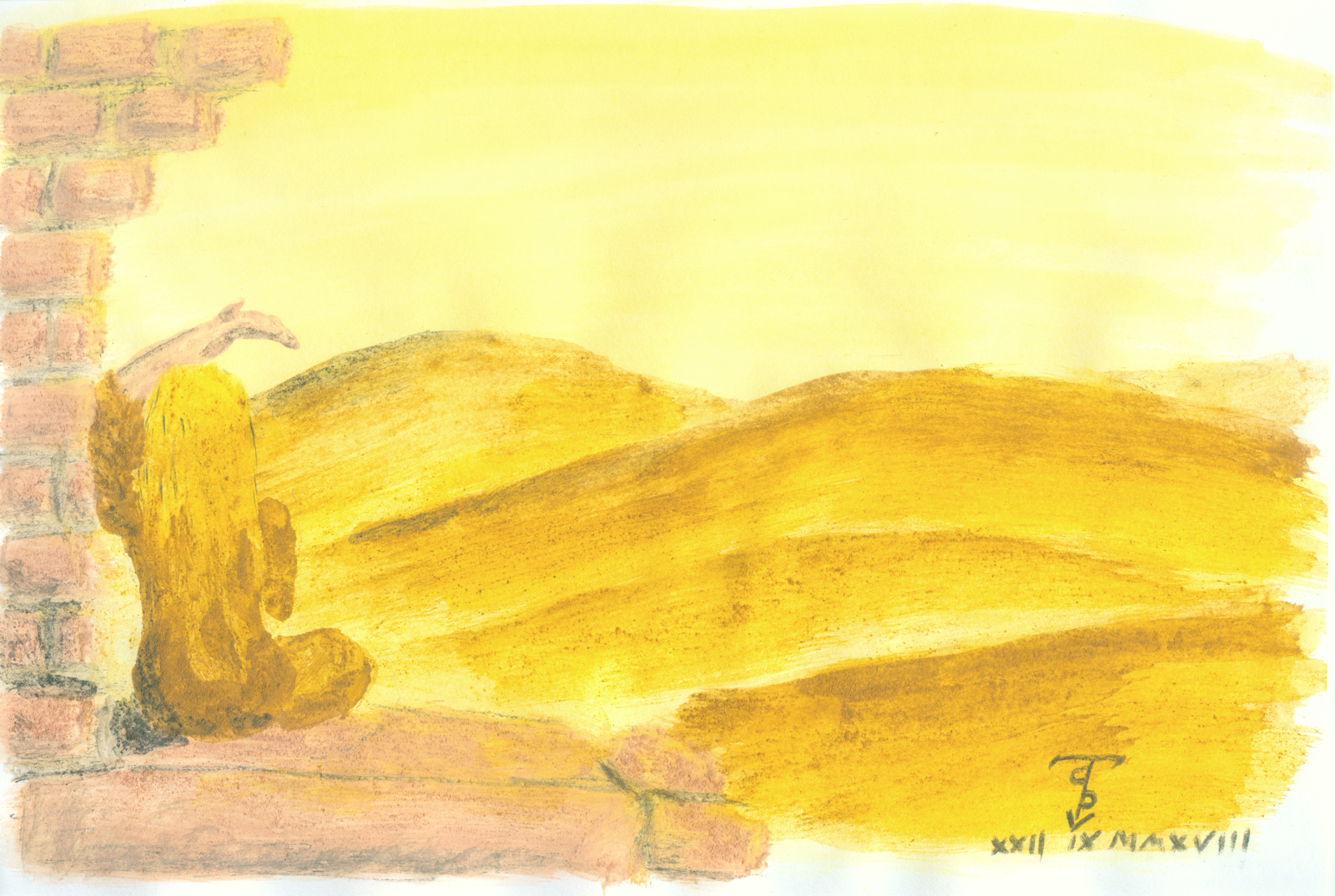 A robed women look at dunes