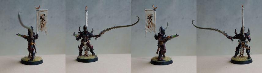 Drukhari Sybarite