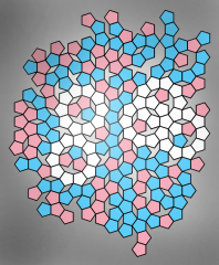 Pentagons 8