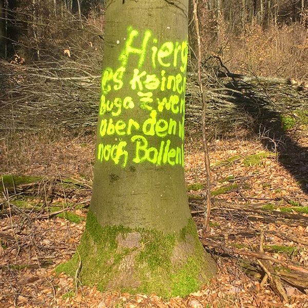 Waldnachricht links