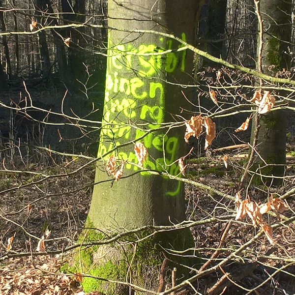Waldnachricht rechts